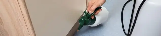 Bed bug exterminator treating baseboards and cracks with targeted spray in Columbia, MO