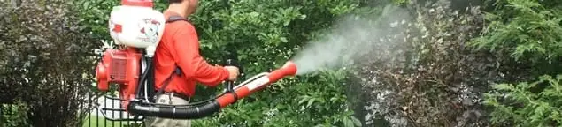Mosquito control technician fogging shrubs and landscaping for mosquito treatment in Columbia, MO