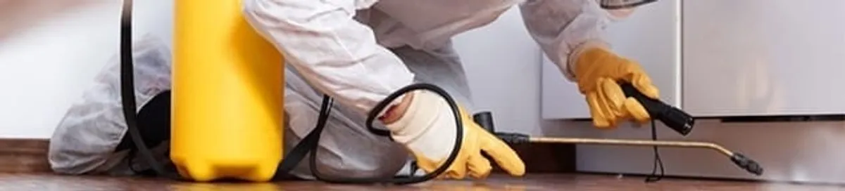 Roach exterminator treating cracks and crevices along kitchen baseboards in Columbia, MO