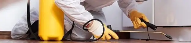 Roach exterminator treating cracks and crevices along kitchen baseboards in Columbia, MO