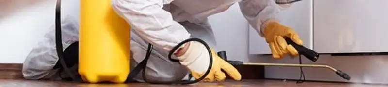 Roach exterminator treating cracks and crevices along kitchen baseboards in Columbia, MO