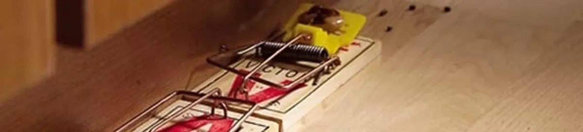 Rodent trap set indoors for rodent control and prevention in Columbia, MO
